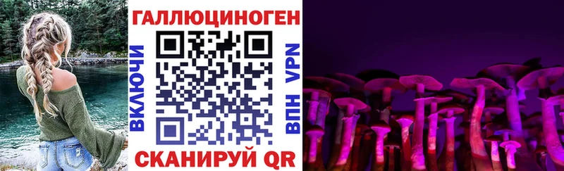 Псилоцибиновые грибы MAGIC MUSHROOMS Суджа